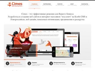 Создание веб сайтов в Новороссийске, веб-дизайн, Koobi CMS, Status-X | Cimes WEB Development