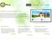 Разработка и сопровождение Web-Сайтов в Ростовской области,  г