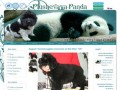 Добро пожаловать на сайт питомника Плюшевая Панда!, Плюшевая Панда