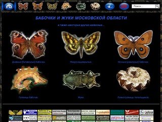Бабочки и жуки Московской области