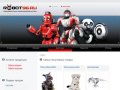 Интернет-магазин Робот 96: моющие роботы пылесосы Екатеринбург