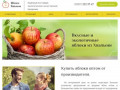 Яблоки Хвалыни - оптовая продажа яблок от производителя (Россия, Саратовская область, Хвалынск)