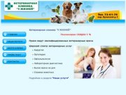 Ветеринарная клиника 9 жизней Ульяновск | Ветклиники Ульяновска