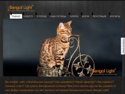 Bengal Light: Омский питомник бенгальских кошек премиум класса!