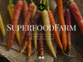 Superfood Farmwww.superfoodfarm.ru