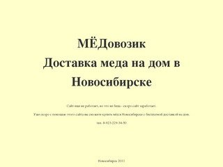 МЁДовозик. Купить мёд в Новосибирске с бесплатной доставкой на дом