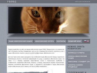Абиссинские кошки и абиссинские котята питомника Farai