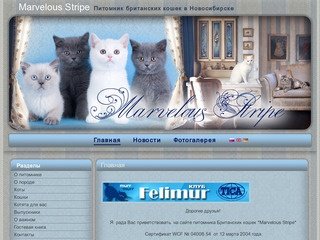 Marvelous Stripe