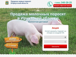 Купить поросят, молочных, маленьких, живых, мясных пород на откорм в Иркутске и области