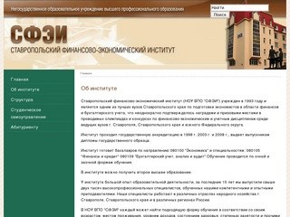 Ставропольский Финансовый Экономический Институт