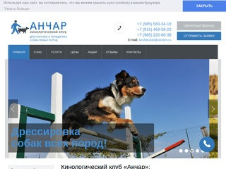 Кинологический клуб «Анчар» в Москве - дрессировка собак по низким ценам