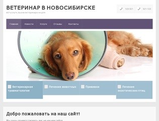 Ветеринар в Новосибирске — ветуслуги, вызов ветеринара на дом