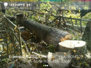 ЛЕСОРУБ 64 - снос и спил деревьев в Саратове, вырубка, распил