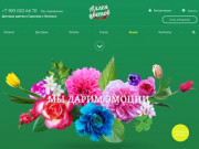 Интернет магазин Аллея Цветов | Цветы-оптом64.рф: в Энгельсе и Саратове
