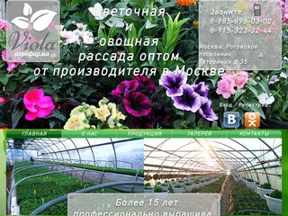 Цветочная и овощная рассада оптом от производителя в Москве