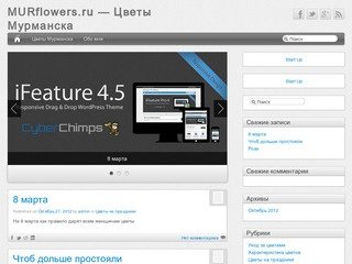 MURflowers.ru — Цветы Мурманска -