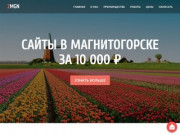 Создание сайтов в Магнитогорске - Цены от 10 000 ₽