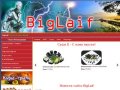 Новости сайта Biglaif