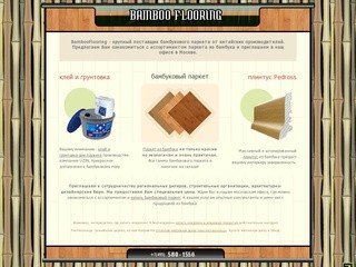 БАМБУКОВЫЙ ПАРКЕТ и аксессуары: клей, грунтовка, плинтус. Паркет из Бамбука