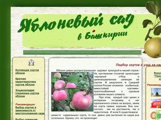 Яблони и груши  в Башкирии. Подбор сортов и уход за садом. Выбор саженцев