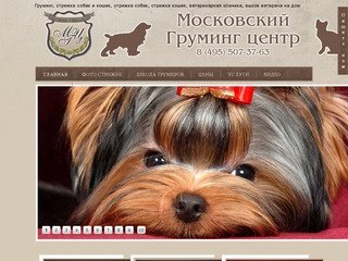 Стрижка, кошек, котов, собак, в москве, недорого, на дому, курсы