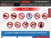 Уничтожение паразитов в Екатеринбурге и Свердловской области |  Компания «Без вредителей»