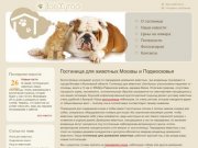 Гостиница для животных - недорогая передержка кошек и собак Москвы и Подмосковья