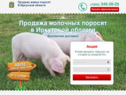 Купить поросят, молочных, маленьких, живых, мясных пород на откорм в Иркутске и области