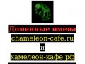 Кафе Хамелион Астрахань