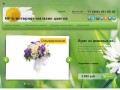 NFlo интернет-магазин цветов (г. Архангельск, ул. Воскресенская, Телефон: +7 (909) 551 60 00)