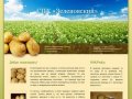 Совхоз Зеленовский | Картофель оптом в Кемерово | Продовольственный и семенной картофель Кемерово