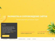 Студия веб-дизайна SweetPix | Создание и сопровождение сайтов