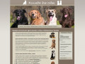 Профессиональная дрессировка собак в Набережных Челнах - цены, курсы