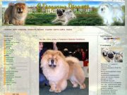 Чау-Чау. Шпиц. Мопс.Челябинск. С Градского Прииска. Chow-chow. Spitz. Pug. S Gradskogo Priiska.