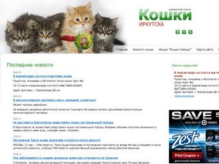 Кошки и котята Иркутска. Продажа и покупка котят в Иркутске. Клубы и питомники Иркутска.
