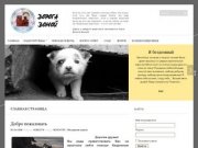 Иркутский сайт помощи бездомным животным "Дорога домой"