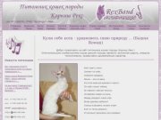 Сайт питомника кошек породы Корниш Рекс RexBand