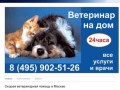 Ветеринарная клиника в Москве | Лечение животных на дому, круглосуточно