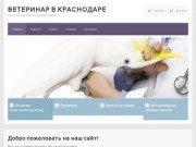 Ветеринар в Краснодаре — ветуслуги, вызов ветеринара на дом