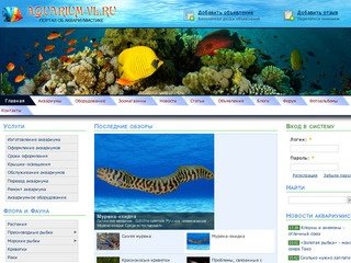 AQUARIUM-VL.RU - ПОРТАЛ ОБ АКВАРИУМИСТИКЕ | Оформление, изготовление аквариумов во Владивостоке