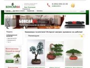 Бонсай купить в Екатеринбурге, бонсай66 - мир японских деревьев
