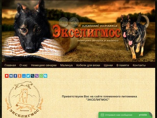 Питомник «Exceligmos»