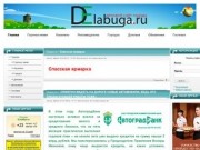 Деловой сайт города Елабуга delabuga.ru