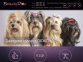 Зоосалон Балашиха - Beauty Dog