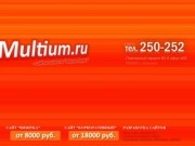 Студия Мультиум: создание и разработка сайтов в Барнауле, раскрутка и продвижение сайта
