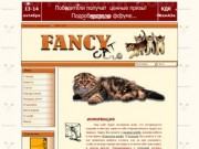 КЛК "Fancy Cat". Породы кошек, коды пород кошек, фото пород, продажа котят, выставки. -&gt;