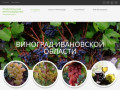 Сайт о виноградарстве в Ивановской области (Россия, Ивановская область, Вичуга)