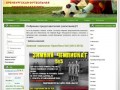 Оренбургская футбольная любительская лига