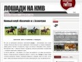 Лошади на КМВ - Ессентукский клуб верховой езды «Казачий»