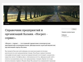 Справочник предприятий и организаций Казани. «Носрел – сервис».